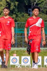 Campeonato-Brasileiro-14