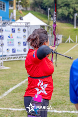 Campeonato-Brasileiro-20