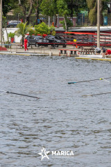 Regata-Remo-do-Futuro-22