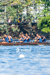 Regata-131