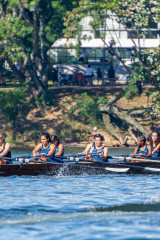 Regata-52