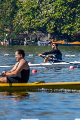 Regata-66