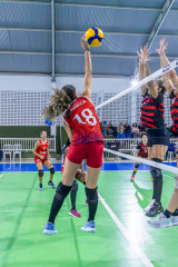 Camp-Estadual-Sub-19-71